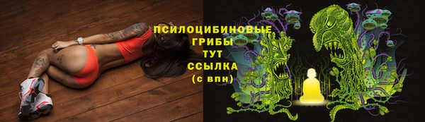 бошки Баксан