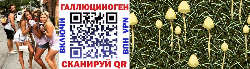Псилоцибиновые грибы ЛСД  MEGA tor  Лесосибирск 